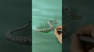 Hyper Realistic Snake 🐍 Drawing#shorts