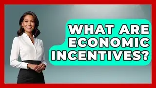What Are Economic Incentives? - Socialism Explained