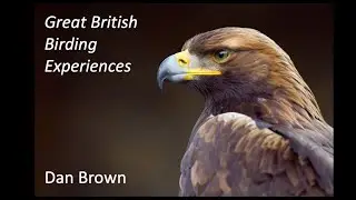 Great British Birding Experiences Dan Brown