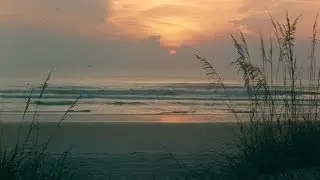 Orlando 1971 - 1980