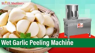 Wet Garlic Peeling Machine | Garlic Peeling Machine Commercial | Blaze Machinery