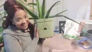 Top Heavy Aloe Vera correction 💪💪💪