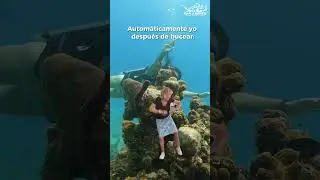 🌊 &iquest;Estr&eacute;s, rutina, preocupaciones? Tenemos la mejor soluci&oacute;n.