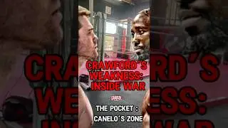 Canelo Alvarez Can Exploit THIS Crawford Weakness #caneloalvarez #terrancecrawford #boxingiq #fyp