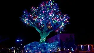 Dollywood Wildwood Grove Tree Nighttime Christmas  Projection Show