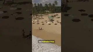 India Rising: Kovalam का 5th Blue Flag! 🌊🇮🇳