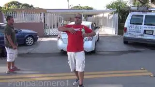 Mensaje al Ladron de palomas.