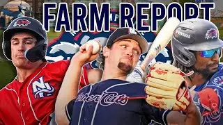 New Hampshire Fisher Cats Year in Review with Manager Brent Lavallee | Bird's Eye View Podcast