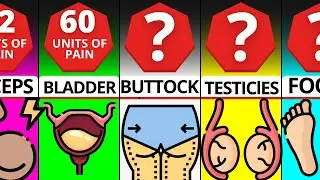 Most Painful Places To Get Stabbed!