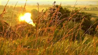 Lazy Hazy Summer Ambience | Summertime Sounds To Make You Go &ldquo;Ahhh&rdquo;