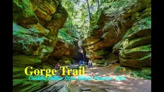 Conkles Hollow State Nature Preserve |Exploring the Gorge Trail | Hocking County, Ohio