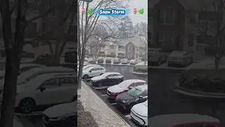 ❄️🌷🌿Snow Storm-2 🌷🌿Jan31 #shorts #shortsfeed #shortvideo #viral #trending #diml #tamilvlogs #ytshort