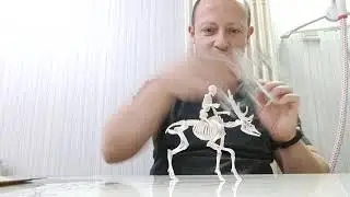 Pose Skeleton Moose 1:18 scale