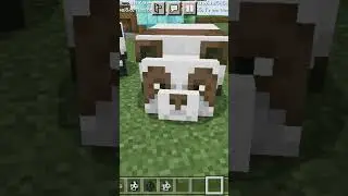 achei o panda raro do Minecraft