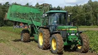 John Deere 2650 Picking Sugar Beets