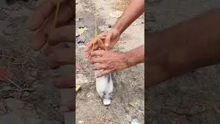 water bottle Fishing 🎣🐟 #youtubeshorts #shortvideo #fishing #viral #trending #shorts #fish