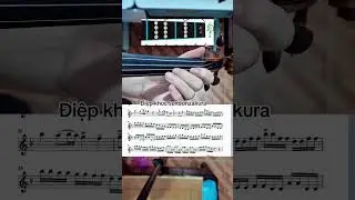 Điệp kh&uacute;c senbonzakura bản Lindsey Stirling #violinshop #violin