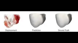 Supplementary Video 2 Focal Wave