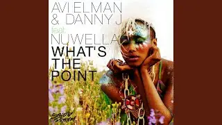 What's the Point (feat. Nuwella)