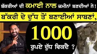 Bakri ਦੇ ਦੁੱਧ ਤੋਂ ਬਣਾਈਆਂ ਸਾਬਣਾਂ,1000 ਰੁਪਏ ਦੁੱਧ ਵਿਕਦੈ ? | Randhawa goat farm | Goat soap | Sirlekh