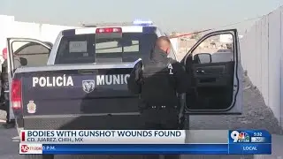 Three killed in execution-style murder in Juarez