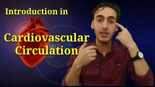 كورس المصطلحات الطبية شرح cardiovascular circulation بطريقة رائعة وممتعة لن تنساها أبدا. حلقة 4جزء 1