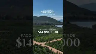 OLIVOS DE TRINIDAD PARCELAS PLANAS A 10 MINUTOS CENTRO #propiedades #terrenos #ventadeterrenos