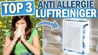 LUFTREINIGER F&Uuml;R ALLERGIKER: Die 3 Besten Modelle 2026