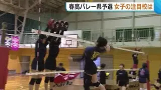 【春高バレー】新潟・女子注目校 県総体優勝からさらにパワーアップした“新発田商業” フルスロットルで8年ぶりの春高目指す“中越” (25/10/31 18:52)