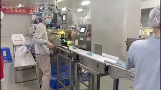 High Accuracy Conveyor Belt Automatic Check Weigher High Speed For Food Industry