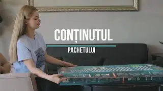 PROFESIONAL CALORIFER ELECTRIC PENTRU PROSOAPE INSTRUCȚIUNI DE INSTALARE RO