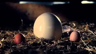 One World 2013 ― festival trailer EN