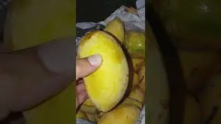 Mango Viral Short | Pakistani Mangoes | White Chaunsa Mango