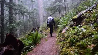 Hiking Mount Walker in the Olympic National Forest