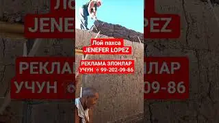 ЛОЙ ПАХСА БЕРУНИЙ 31.08.2025 #beruniy #rek #live #2025 #automobile