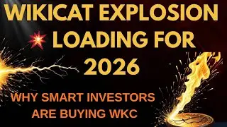 Why Wikicat Will Explode 🔥In 2026