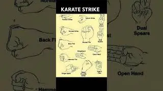 Karate strike technique #Karate #fight #training