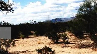 Star Trek transporter special effect