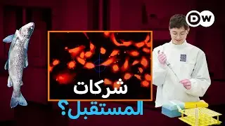 وثائقي | الشركات الناشئة الخضراء - إنقاذ المناخ وضمان الرخاء، هل هذا ممكن؟| وثائقية دي دبليو