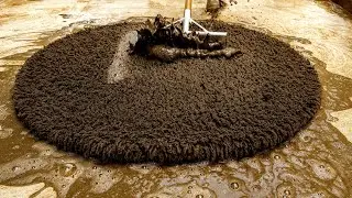 Satisfying Rug Scraping: Removing Years of Heavy Mud and Grime - Deep Cleaning Dirty Carpet