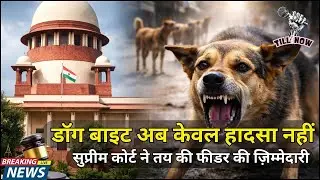 Supreme Court Warning 🚨 Kutte Ne Kata Toh Heavy Compensation!#ViralNews#BreakingShorts#DogBiteNews