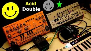 Acid Double  - Behringer TD-3  - Roland TB-03  - Keystep 37  - Boss RE-2 Space Echo & VD400 Delay