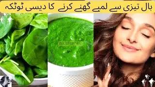 Hair Pack for Extreme Hair Growth | Best Hair Mask for Dry and Frizzy Hair | Palak Hair Pack