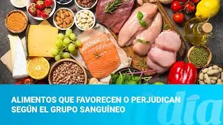 Alimentos que favorecen o perjudican según el grupo sanguíneo