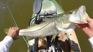 Kayak Fishing Everglades National Park For Big Snook.