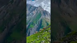 Pakistan's Breathtaking Wilderness: Discovering Hunza, and Forests | @melodiesgarden