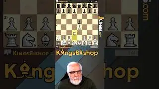 Leonardis Variation Perfection