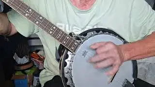 Frailing Brisvegas Banjo 