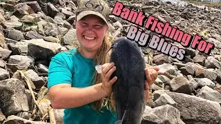 Big Arkansas River Blue Catfish on Rod & Reel