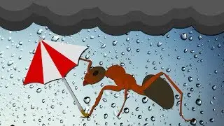 Why Do Some Bugs Only Show Up When It Rains?